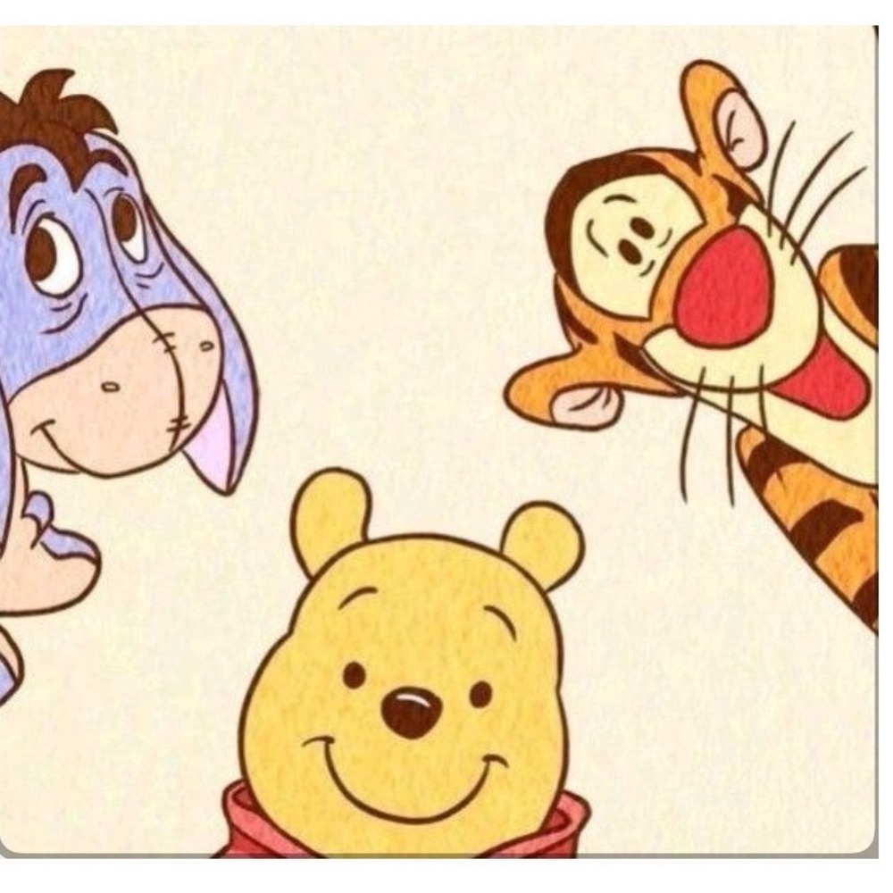 Disney Winnie the Pooh Premium Heavy Weight Gift Wrap Roll 30 SqFt Party 109-07